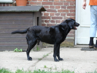 Foto: S. Lindegger