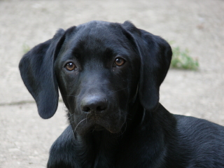 Foto: S. Lindegger
