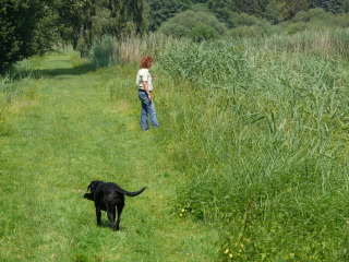 Foto: S. Lindegger