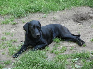Foto S. Lindegger