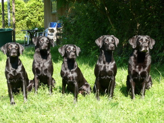 Foto: S. Lindegger
