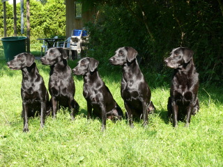 Foto S. Lindegger