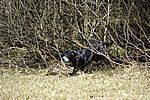 Banja