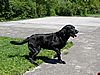 Sommer 2006