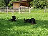 Sommer 2007