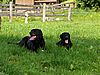 Zusammen relaxen