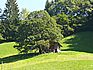 Sommer 2007